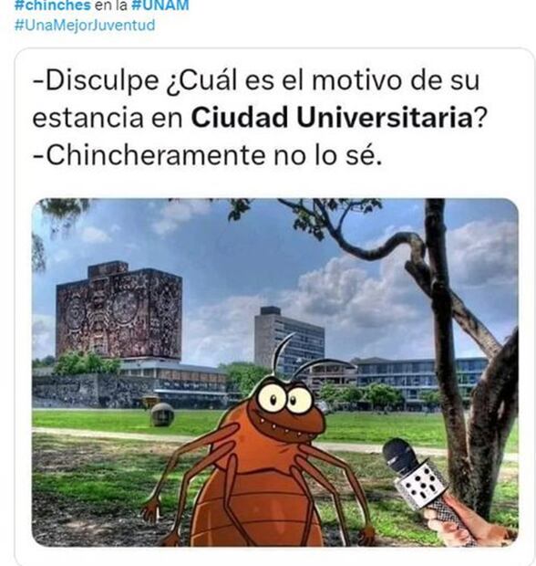 Vía twitter.