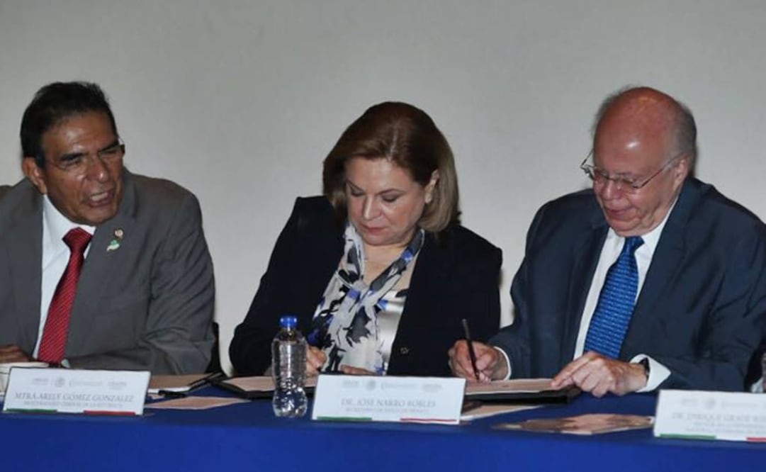 (Foto: Tomada de Twitter @ArelyGomezGlz)