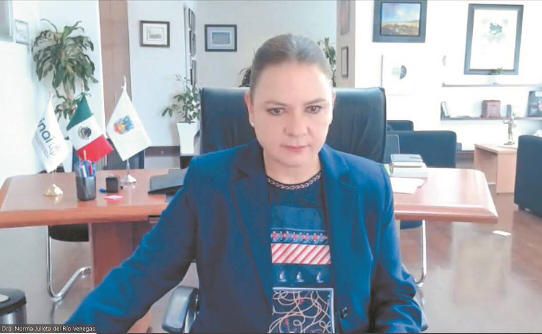 La comisionada Julieta del Río explicó que los recientes ataques, en lugar de robar información, tienen el objetivo de estropear el funcionamiento de la plataforma. Foto: Especial.