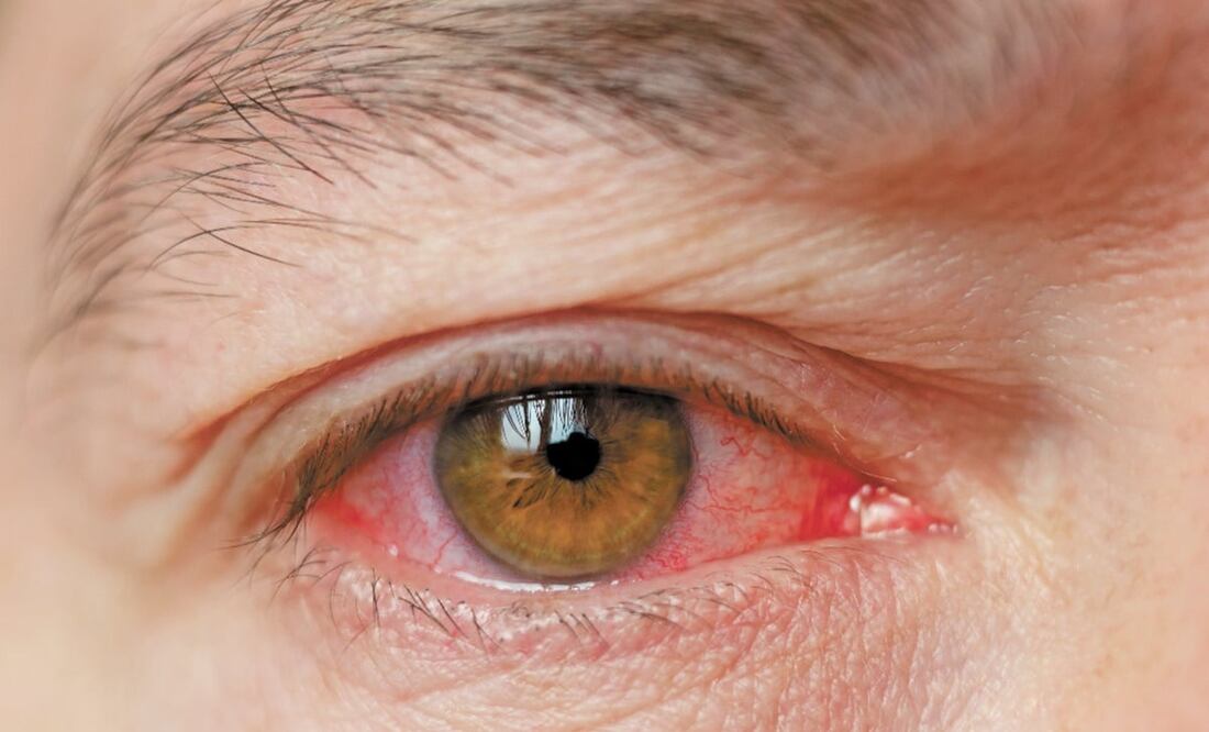 Foto: El Universal, archivo