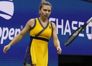 Simona Halep inspira al nombre de una nueva especie de insecto