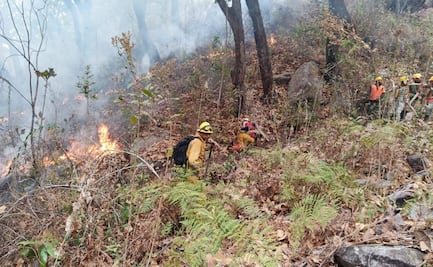 Brigadas federales y estatales combaten incendios en 11 puntos de Guerrero