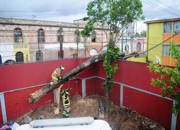 Viento deja sin luz a varias colonias en la CDMX