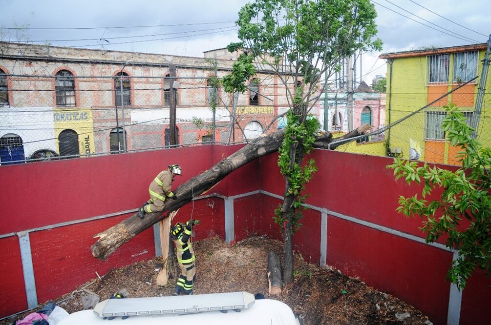 Foto: Hugo García/El Gráfico