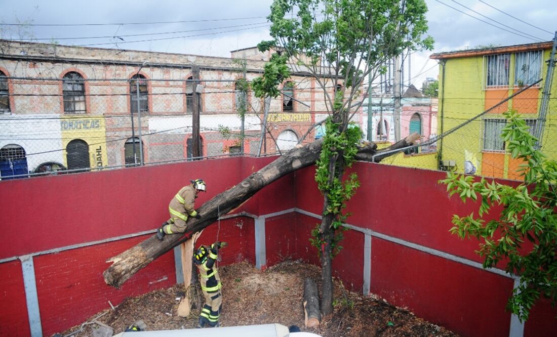 Foto: Hugo García/El Gráfico