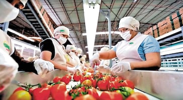 Sinaloa, donde prolifera más la economía informal