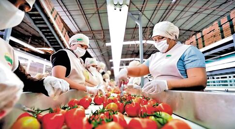 Sinaloa, donde prolifera más la economía informal