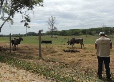Profepa inspecciona zoológicos en todo el país