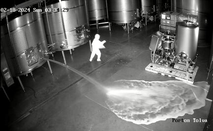 60 mil litros de vino perdidos en este asalto a Bodegas Cepa 21