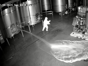 60 mil litros de vino perdidos en este asalto a Bodegas Cepa 21