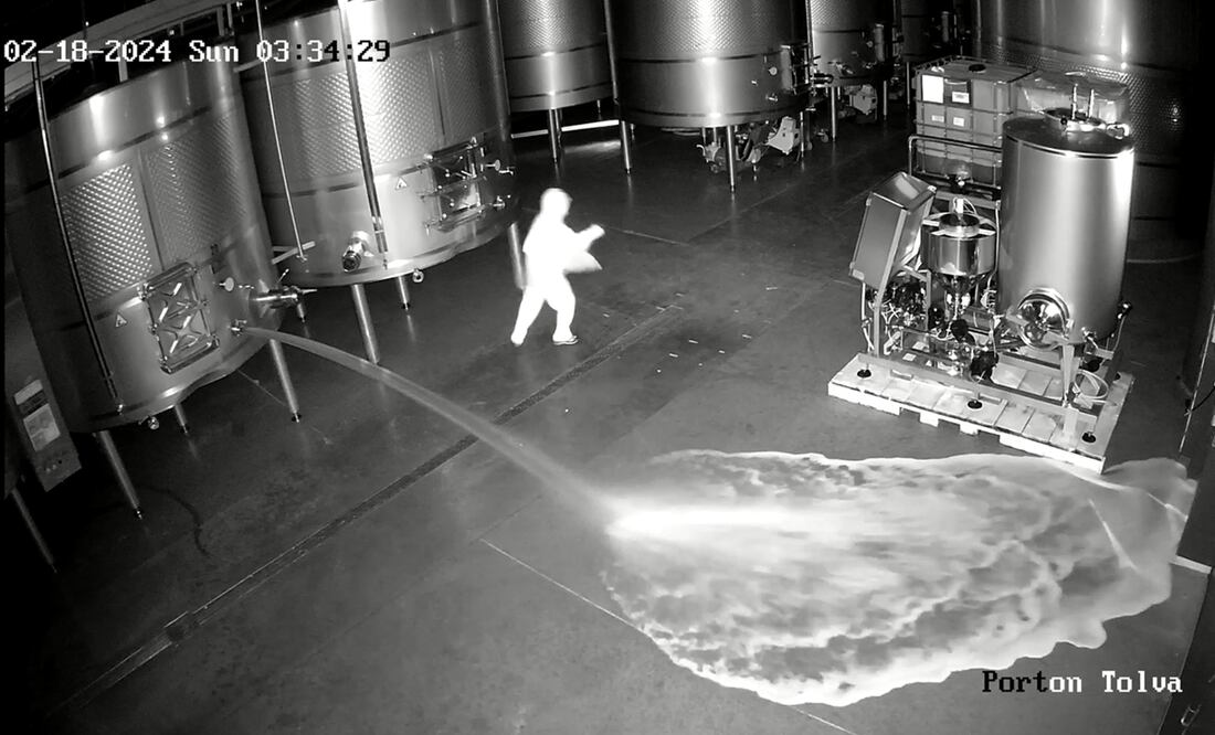 Asalto en Bodegas Cepa 21. Captura de pantalla del video de seguridad, cortesía de Bodegas Cepa 21