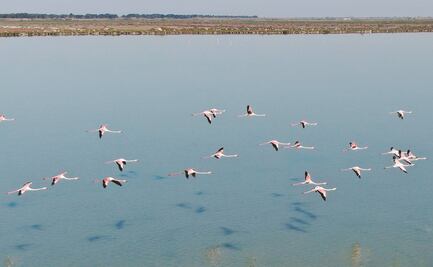 Rebelión en bloque europeo por iniciativas climáticas