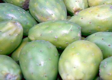 The many benefits of prickly pear fruit