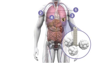 La menopausia acelera la pérdida de función pulmonar