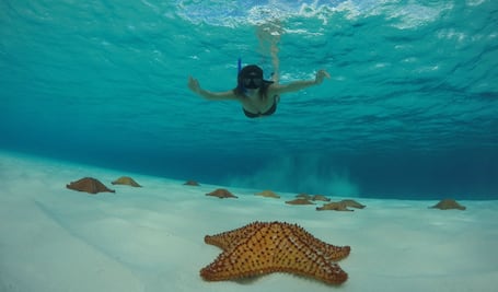 5 maravillas naturales en México para visitar en el futuro