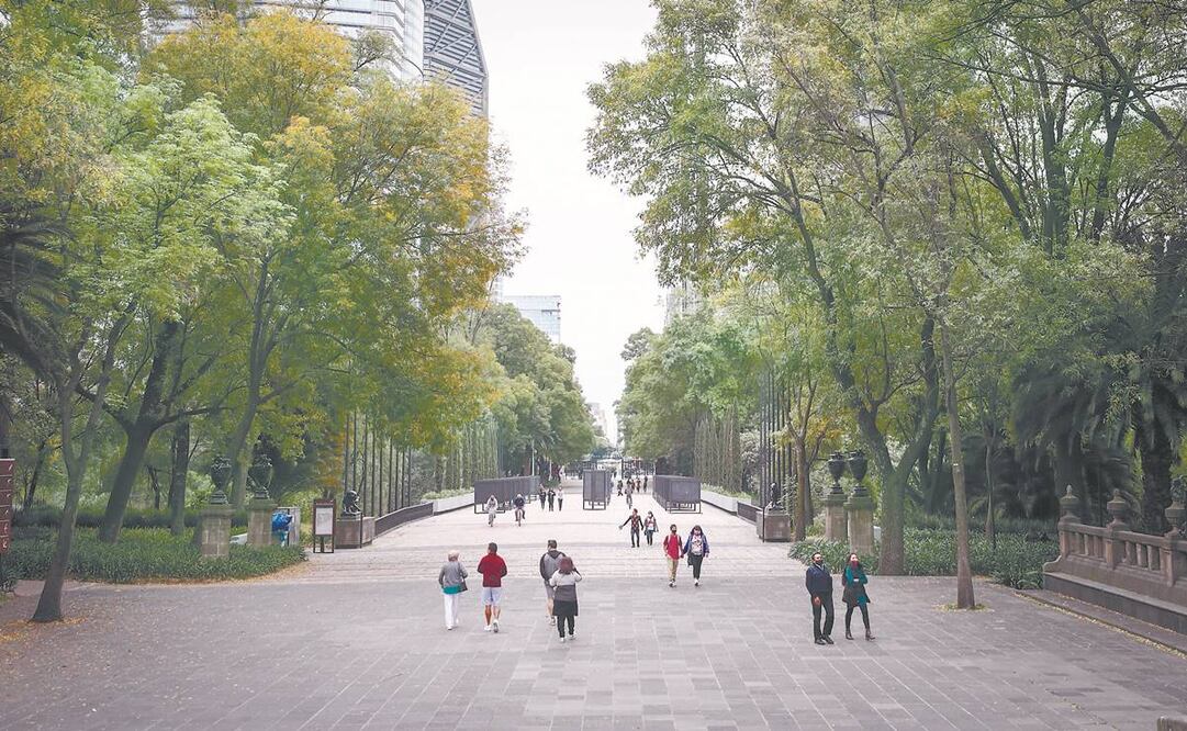 El nuevo espacio será para uso recreativo. Foto: Archivo/ El Universal.