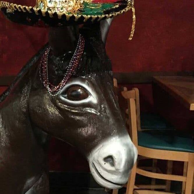 Imagen de la estatua (Foto tomada de facebook.com/ForTheDonkey)