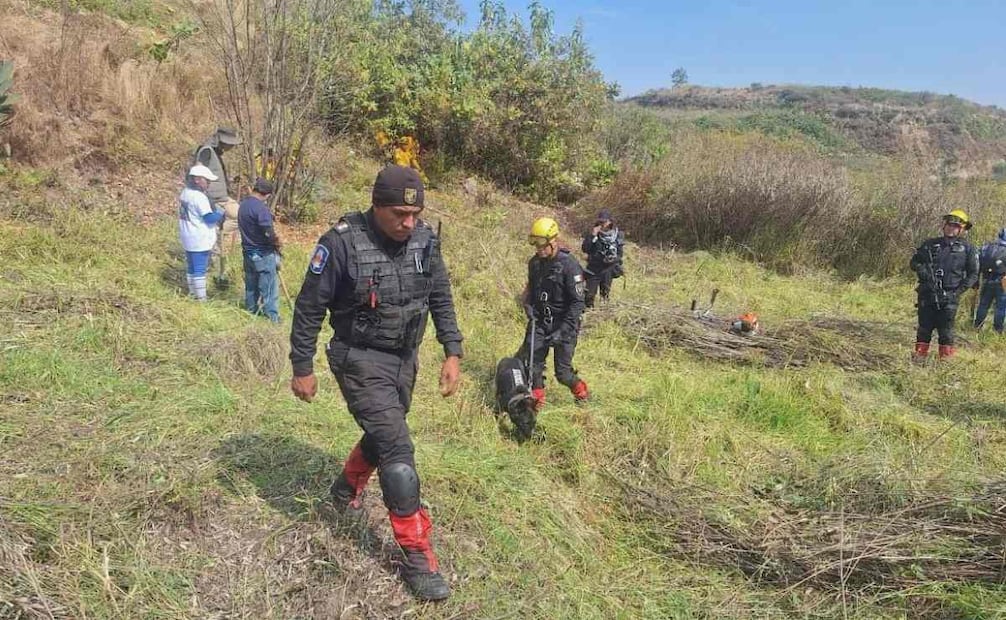 Alcaldía Álvaro Obregón realiza la primera jornada de búsqueda de personas en la barranca de Tarango.
Foto: Especial.