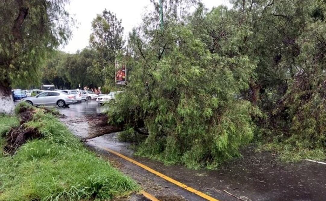 Fotografía: Especial