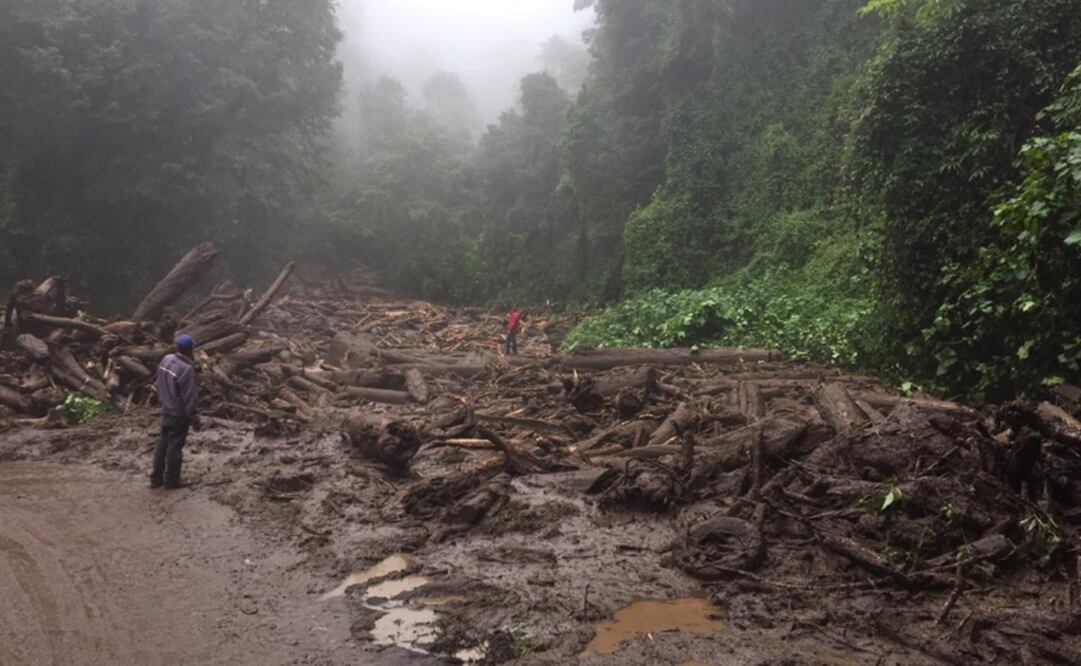 Fotografía: Especial