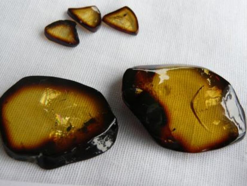 ¿Conoces las 16 cosas que sólo pueden producirse en México?