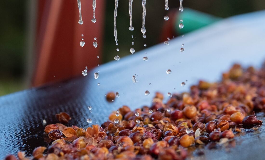 Fotos: Jesús Salazar