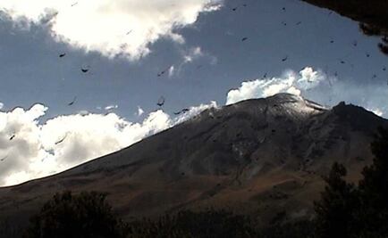 "Popo" arroja columnas superiores a 1.5 km con ceniza