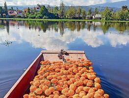 Los muertos al cajón y los vivos al fiestón