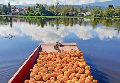 Los muertos al cajón y los vivos al fiestón