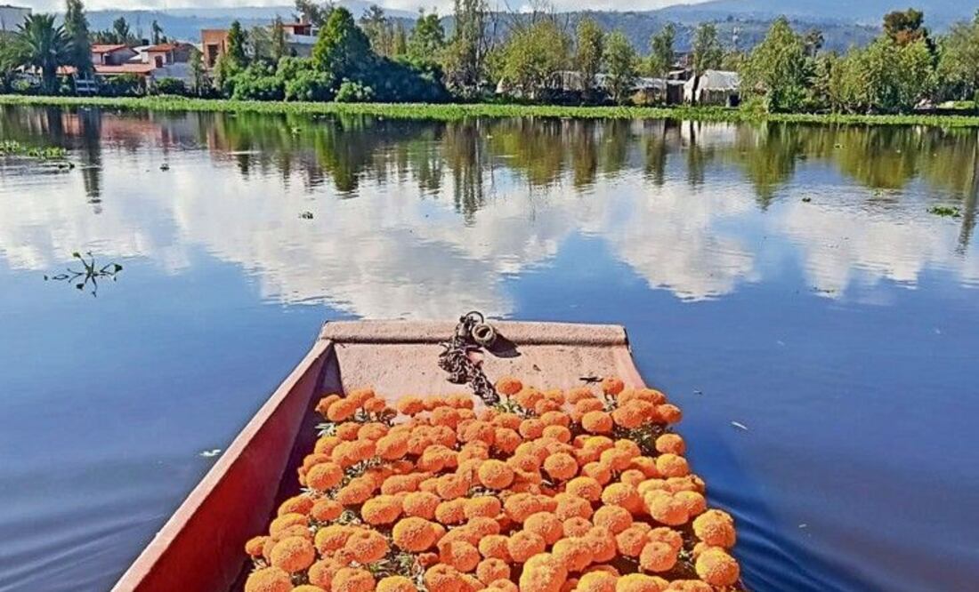 Cempasúchil a remo: color, tradición y trabajo que sostienen la temporada