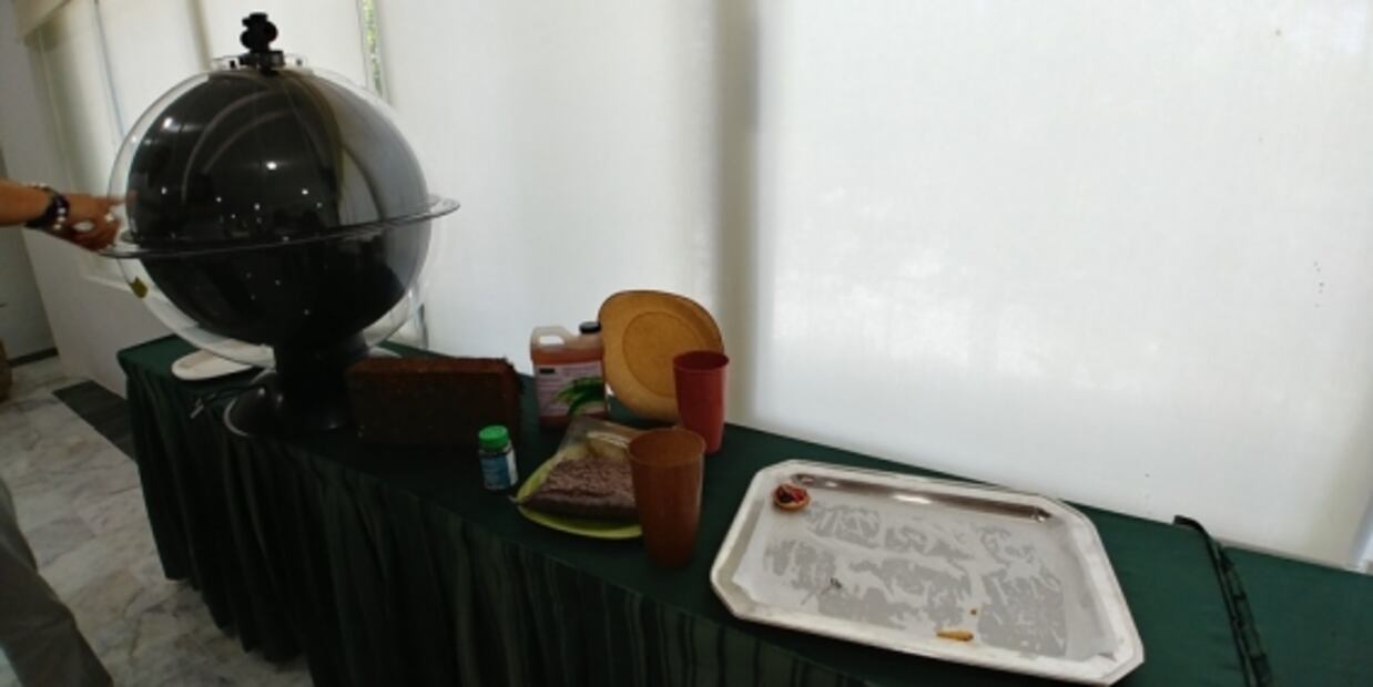 Empresarios de Cancún vuelven sargazo el oro del mar