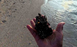 Pemex admite que fuga en ducto causó derrame; funcionarios ocultaron información y fueron cesados