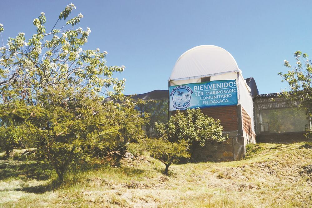 Tras la reapertura del Centro Ecoturístico La Mesita, que se encuentra en San Pablo Etla, en los Valles Centrales, algunos trabajadores fueron “sepa rados” de sus puestos. Fotos: EDWIN HERNÁNDEZ. EL UNIVERSAL