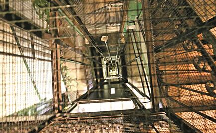 Desploma elevador en Tlatelolco; 4 heridos