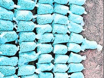 Los hermanos, en la mira de autoridades desde el año 2022