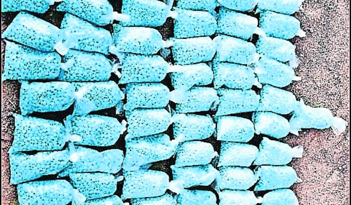 Además de cocaína, en países de Europa los cárteles mexicanos ya trafican con fentanilo y metanfetaminas. Archivo El Universal