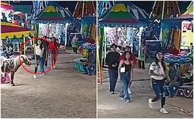 Joven patea a pony en la cabeza en feria de SLP; video desata indignación en redes sociales