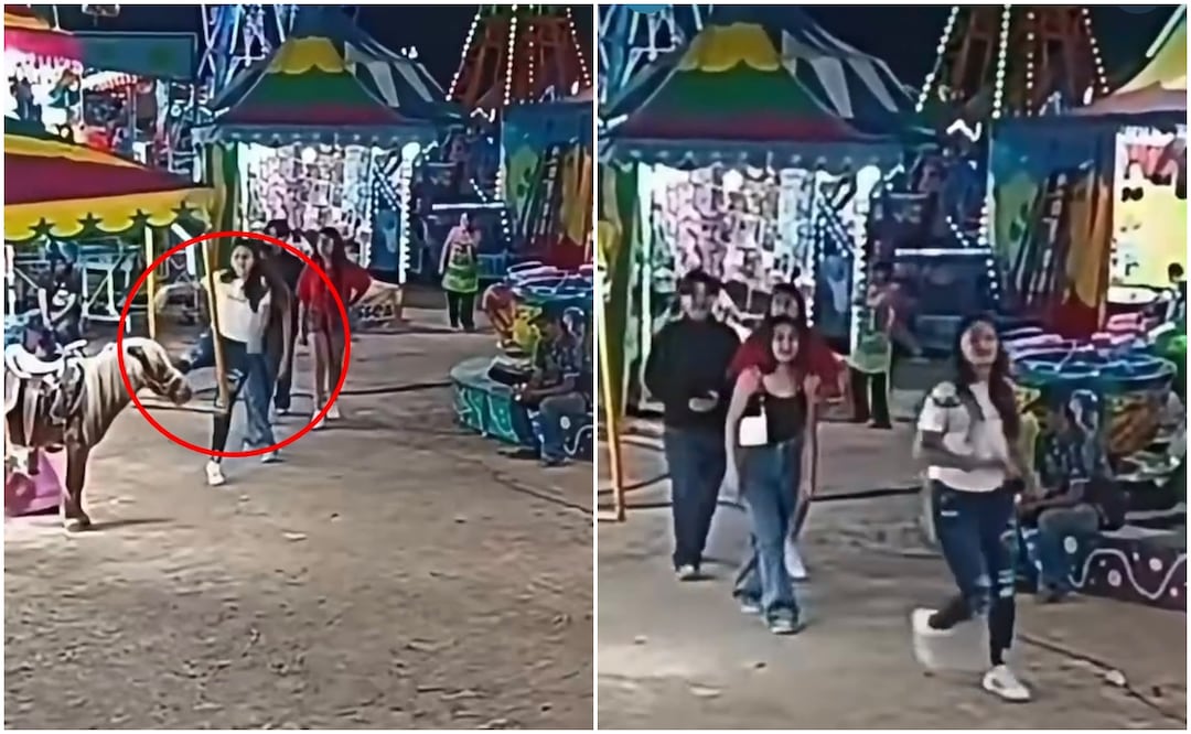 El comportamiento de la joven encendió la alerta entre defensores del bienestar animal. Foto: Redes sociales
