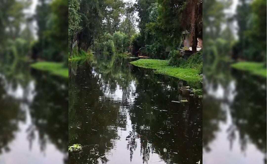 Canales de Xochimilco / Captura de pantalla