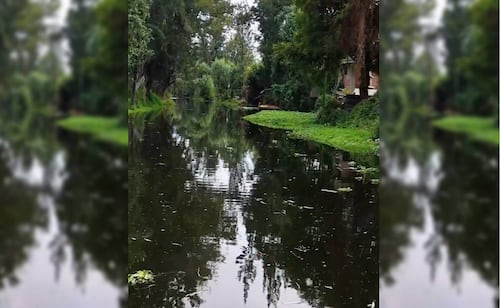 Xochimilco niega descargas de aguas negras; explican funcionamiento de cárcamo en Caltongo
