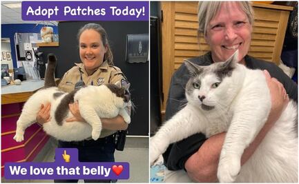 “Patches”, el gatito de 40 libras que encontró hogar tras viralizarse
