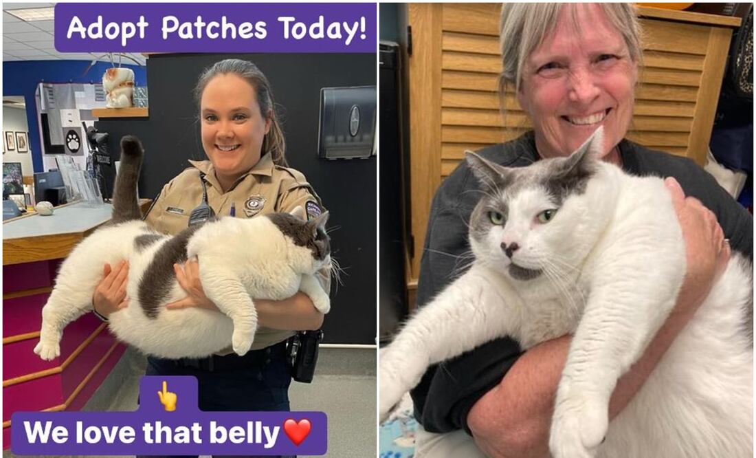El refugio Richmond Animal Care and Control anunció que "Patches" ya encontró un hogar. / Foto: Facebook.
