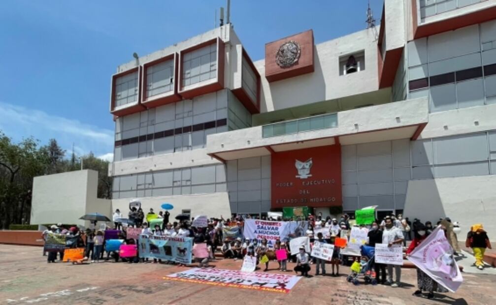 Activistas exigen freno al maltrato animal en Hidalgo