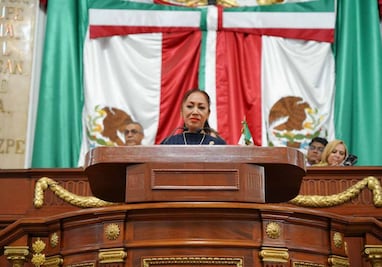 Diputada del PVEM propone castigar hasta con 9 años de prisión a conductores que maten a un animal y huyan; busca sancionar indiferencia