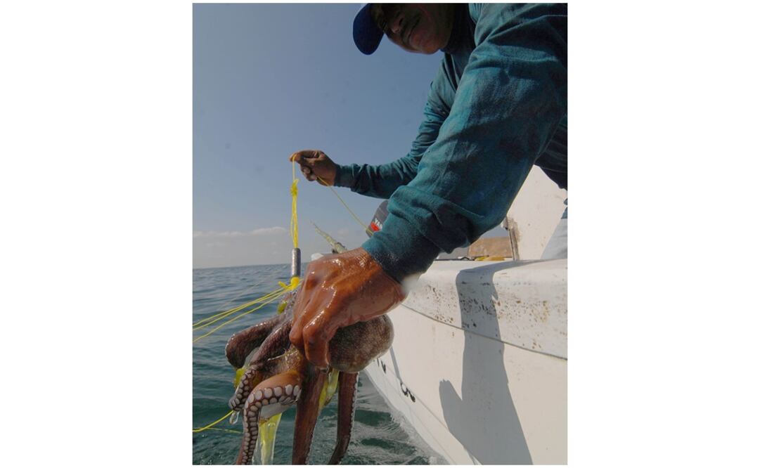 Foto: Cuauhtémoc Moreno Cabrera