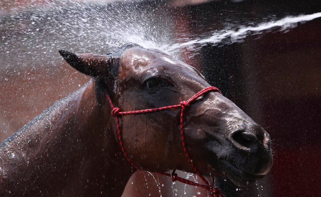 (Foto: Archivo / AP)