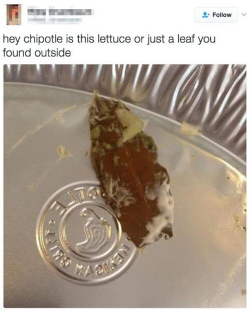 Estadounidenses se indignan al hallar "hojas de árbol" en su comida, sin saber que era laurel