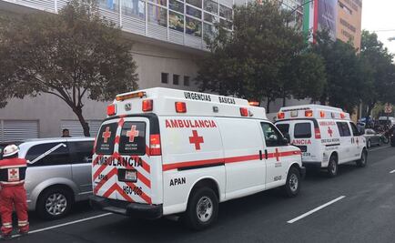 Recibe Incifo 44 cadáveres rescatados entre escombros por sismo