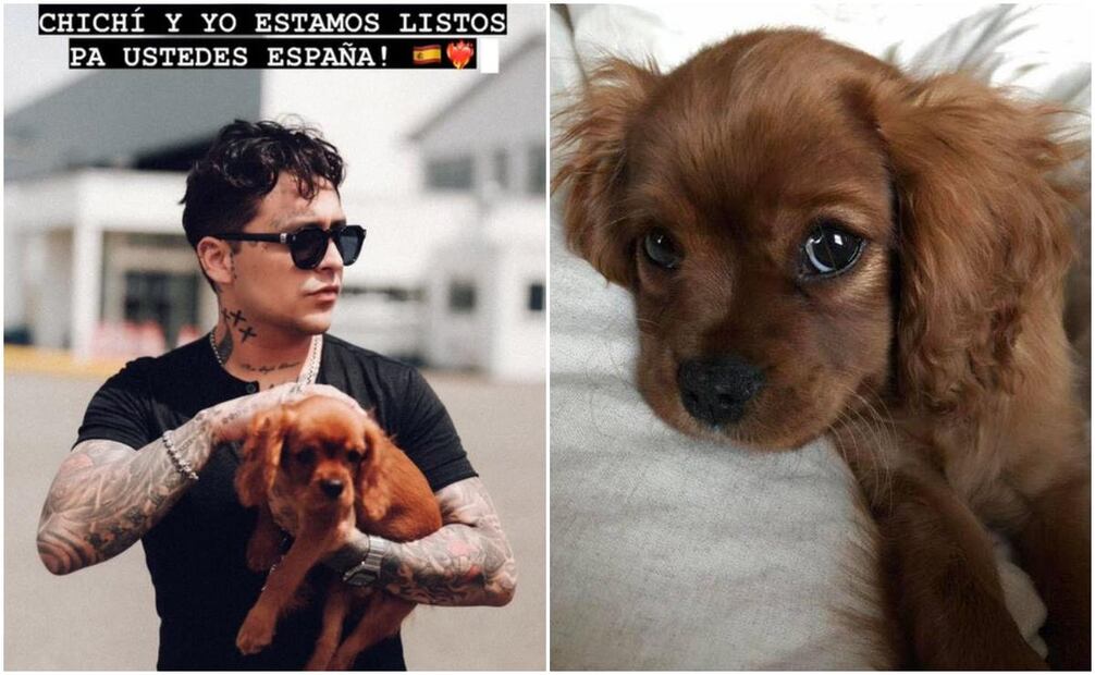 Christian Nodal disfruta a su mascota después de que desde hace mucho no tuviera una.