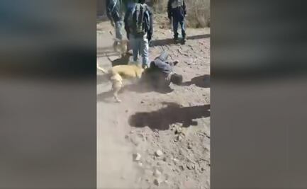 ¿Echaron a los perros a supuesto ladrón de caballos en Querétaro? Autoridades dicen que no fue linchamiento 